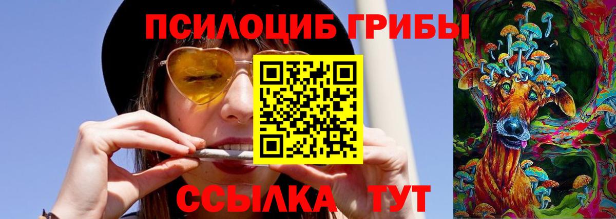 Псилоцибиновые грибы MAGIC MUSHROOMS  Вход с VPN  Урус-Мартан 